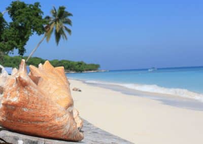 Playa Blanca Tour